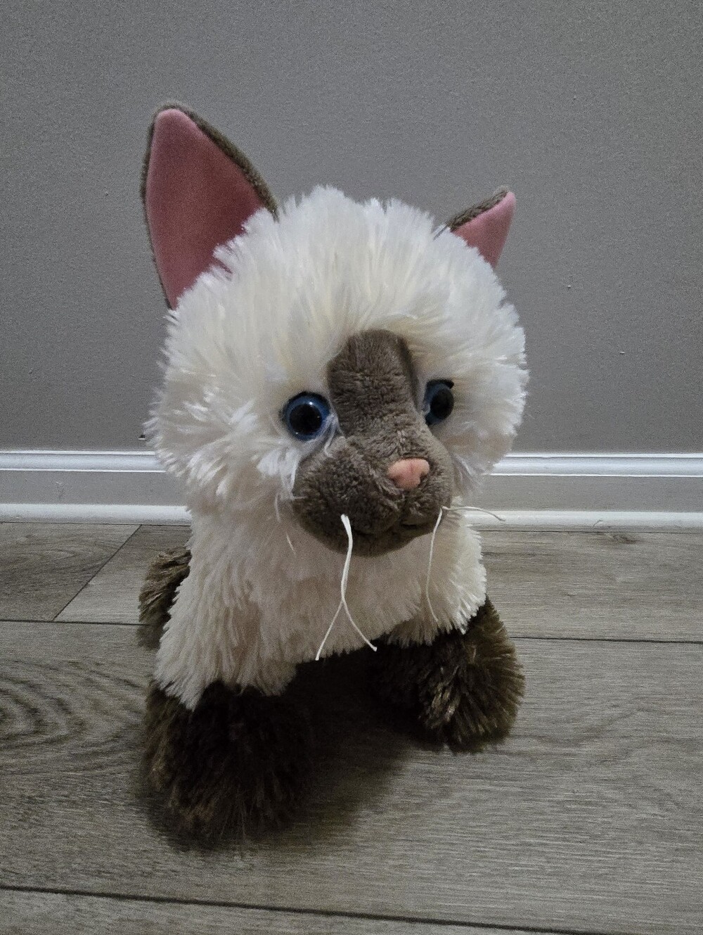 Build a Bear 12" Promise Pets Himalayan Siamese Cat 2018 RETIRED BAB Plush